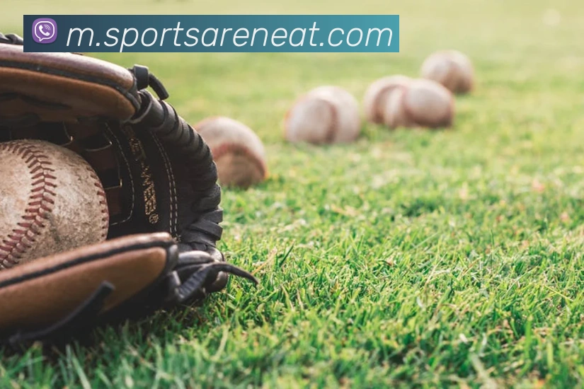 体育下注服务体系